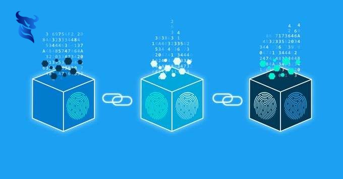 Thiết kế website với công nghệ blockchain: Cách tiếp cận mới. 2 Thiết kế website với công nghệ blockchain: cách tiếp cận mới.