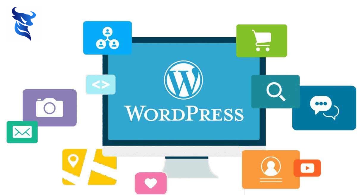 Wordpress vs custom code: khi nào nên chọn gì?