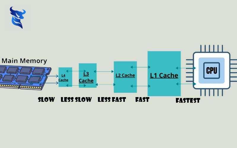 Hình ảnh và video trên website: cách sử dụng đúng để tạo ấn tượng.