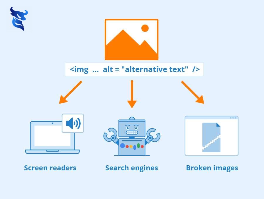 Tối ưu hình ảnh trên website: bí quyết từ chuyên gia.