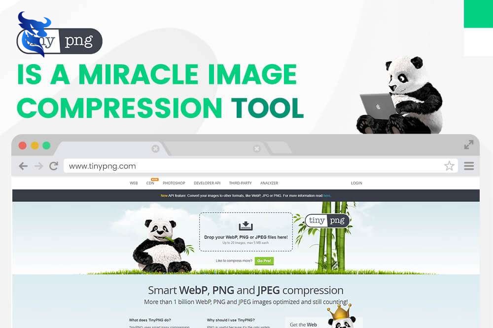 Tối ưu hình ảnh trên website: bí quyết từ chuyên gia.