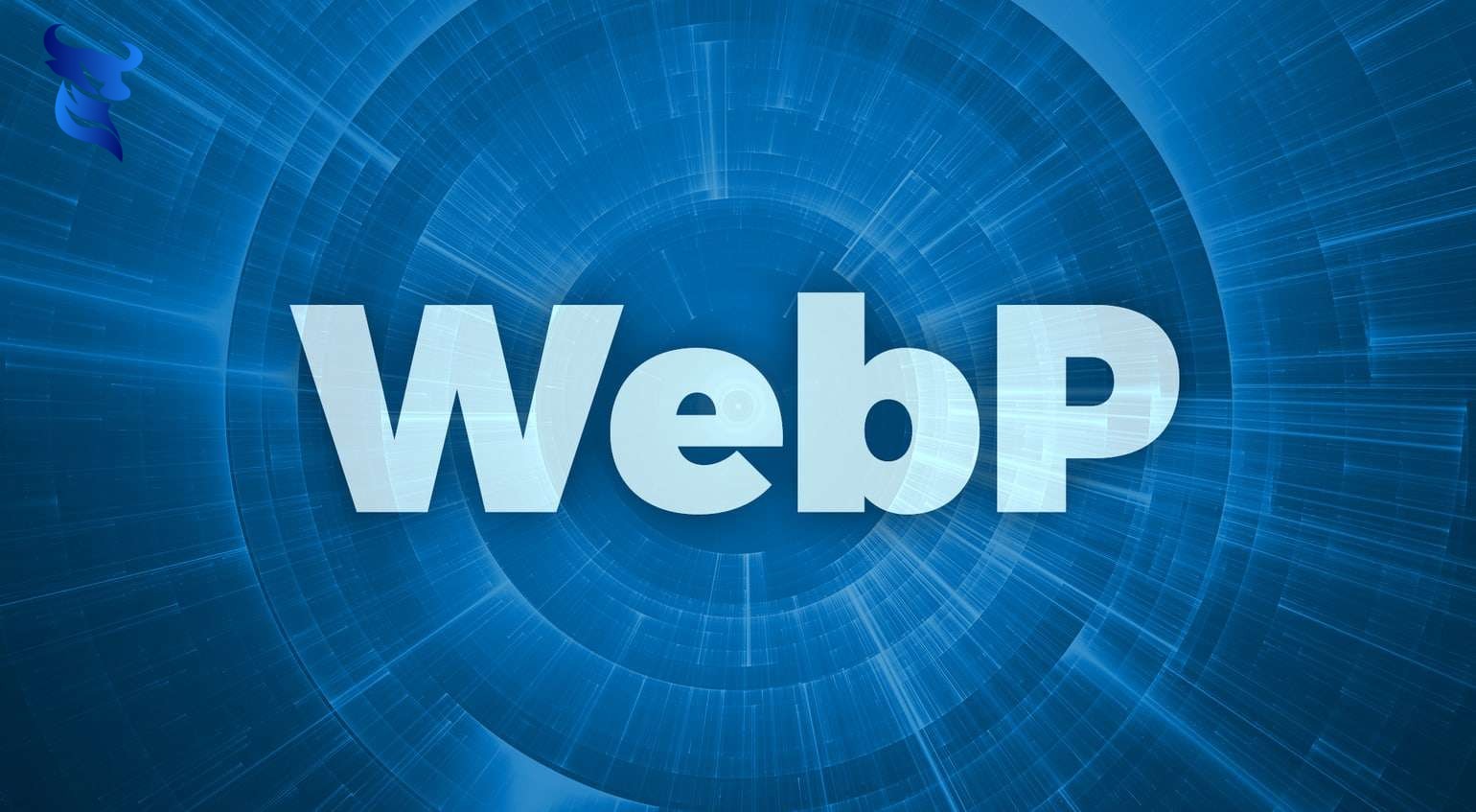 Tối ưu hình ảnh trên website: bí quyết từ chuyên gia.