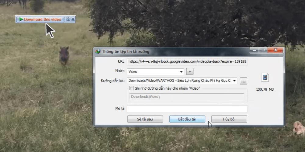 Hướng dẫn 7 cách tải video từ các trang web không cho download